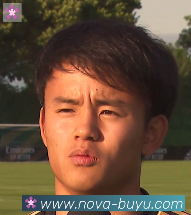维尼修斯
